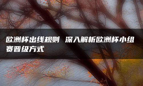 则净胜球数、射门得分、直接交锋结果、总进球数和抽签将决定排名