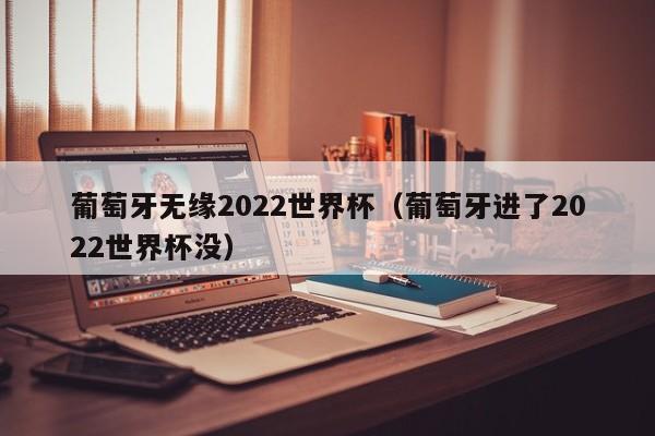 葡萄牙无缘2022世界杯（葡萄牙进了2022世界杯没）