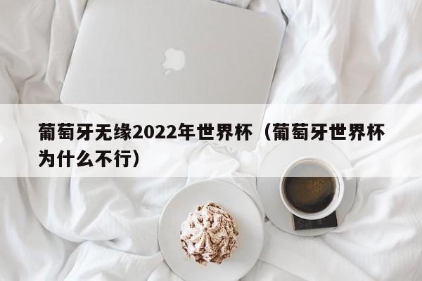 葡萄牙无缘2022年世界杯（葡萄牙世界杯为什么不行）