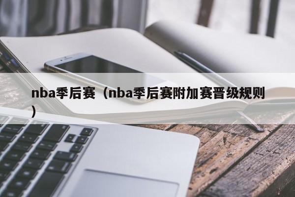 nba季后赛（nba季后赛附加赛晋级规则）