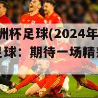 2024欧洲杯足球(2024年欧洲杯足球：期待一场精彩绝伦的盛宴)