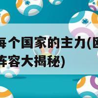 欧洲杯每个国家的主力(欧洲杯各国主力阵容大揭秘)