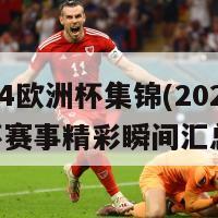 2024欧洲杯集锦(2024欧洲杯赛事精彩瞬间汇总)