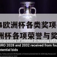 2024欧洲杯各类奖项(2024欧洲杯各项荣誉与奖项)