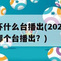 欧洲杯什么台播出(2021欧洲杯在哪个台播出？)