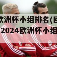 2024欧洲杯小组排名(欧洲强队争夺2024欧洲杯小组出线名次)