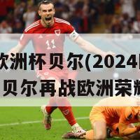 2024欧洲杯贝尔(2024欧洲杯：贝尔再战欧洲荣耀之旅)