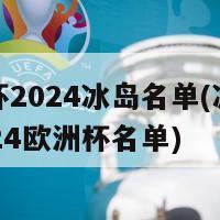 欧洲杯2024冰岛名单(冰岛公布2024欧洲杯名单)