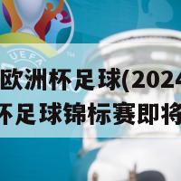 2024欧洲杯足球(2024年欧洲杯足球锦标赛即将揭幕)