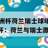 96年欧洲杯荷兰瑞士球场(96年欧洲杯：荷兰与瑞士激战球场)