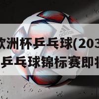 2024欧洲杯乒乓球(2034年欧洲乒乓球锦标赛即将来临)