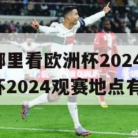 泉州哪里看欧洲杯2024(泉州欧洲杯2024观赛地点有哪些)