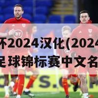 欧洲杯2024汉化(2024年欧洲足球锦标赛中文名发布)