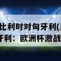 欧洲杯比利时对匈牙利(比利时 VS 匈牙利：欧洲杯激战上演)