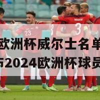 2024欧洲杯威尔士名单(威尔士公布2024欧洲杯球员阵容)