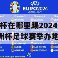 欧洲杯在哪里踢2024(2024欧洲杯足球赛举办地点)