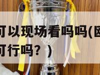 欧洲杯可以现场看吗吗(欧洲杯现场观赏可行吗？)