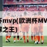 欧洲杯mvp(欧洲杯MVP：欧洲足球之王)