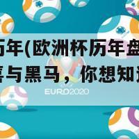 欧洲杯历年(欧洲杯历年盘点：辉煌、惊喜与黑马，你想知道哪一届？)