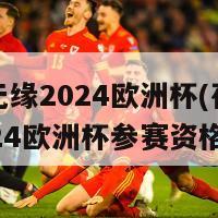 荷兰无缘2024欧洲杯(荷兰错失2024欧洲杯参赛资格)