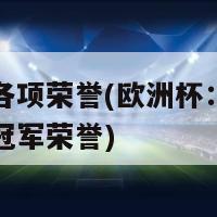 欧洲杯各项荣誉(欧洲杯：各国英雄争夺冠军荣誉)