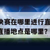 欧洲杯决赛在哪里进行直播(欧洲杯决赛直播地点是哪里？)