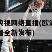 欧洲杯央视网络直播(欧洲杯央视网络直播全新发布)