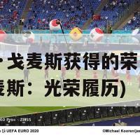 安德烈·戈麦斯获得的荣誉(安德烈·戈麦斯：光荣履历)